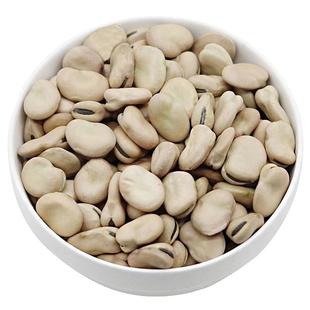 2025年新货生干蚕豆种子干胡豆甘肃生鲜蚕豆特大干蚕豆干货种子