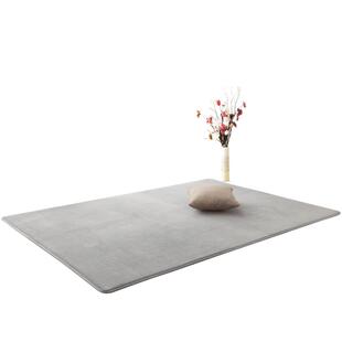 地毯卧室客厅2025新款床边毛毯地垫飘窗轻奢家用房间少女垫子全铺