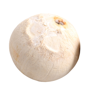 顺丰6到12个装三亚大个牛奶芋香椰椰子海南新鲜热带水果香水椰