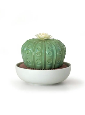 精油无火香薰欧式风植物乔迁礼品