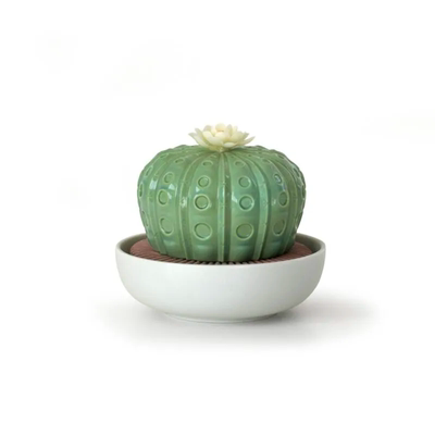 精油无火香薰欧式风植物乔迁礼品