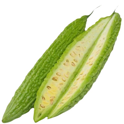 苦瓜苗老品种大肉苦瓜苗小冬瓜苗幼苗高产阳台盆栽四季蔬菜种孑苗