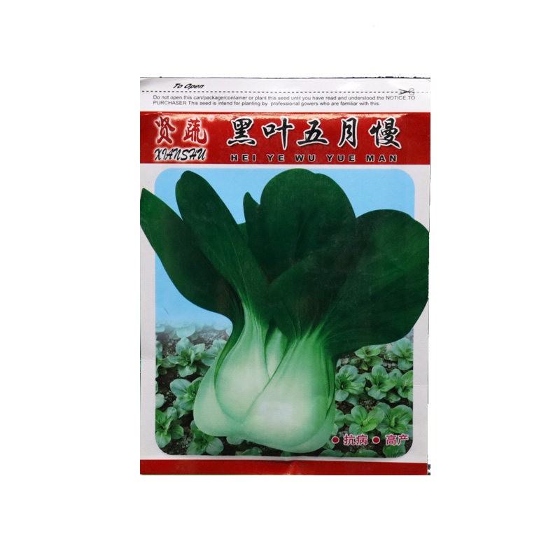 黑叶五月慢青菜种子晚抽苔青菜老品种青菜籽软糯耐寒过冬