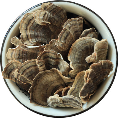 长白山深山纯野生无硫新云芝