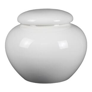 陶瓷茶叶罐家用密封储物通用防潮红茶绿茶普洱包装罐子白瓷可定制