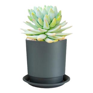 磨砂树脂花盆加厚耐用多肉种植小花盆圆形收脚花盆家用阳台绿植盆