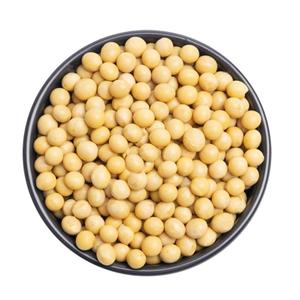 东北黄豆24年农家自种非转基因大豆打豆浆生豆芽专用豆类五谷杂粮