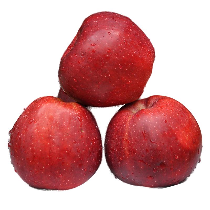 新鲜花牛红星粉面苹果大果沙果香甜果刮泥宝宝辅食老人吃