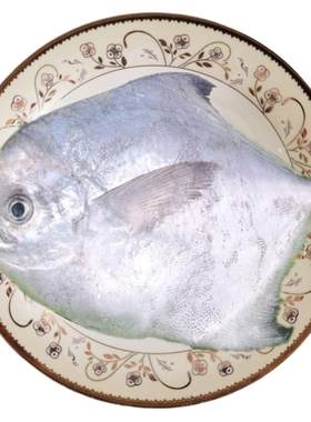 银鲳鱼吕四昌片新鲜冷冻海鲜礼盒