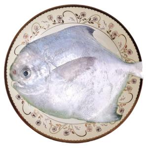 银鲳鱼吕四昌片新鲜冷冻海鲜礼盒