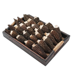 25年羊肚菌干货云南特产羊肚菇高山菌菇类煲汤食材年货新鲜火锅