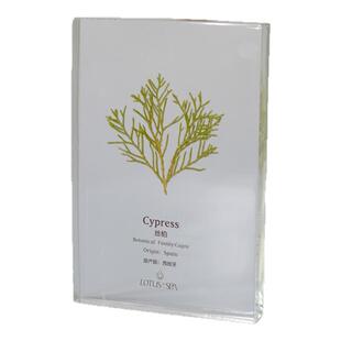 spa店软装文化墙 养身精油植物标本树脂香薰精油透明亚克力滴胶