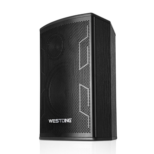 威斯汀106会议室音响套装全套家庭ktv功放音箱中小型会议系统设备