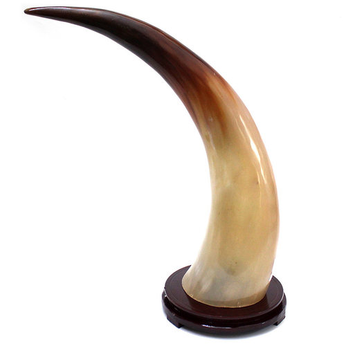 天然牦牛角摆件运势客厅书房玄关办公室招财家居装饰品送开业礼品