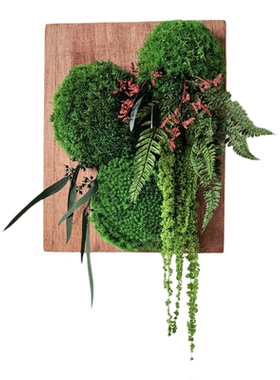 原创永生苔藓花艺植物装饰画壁挂画自然家居客厅墙面软装森系摆件