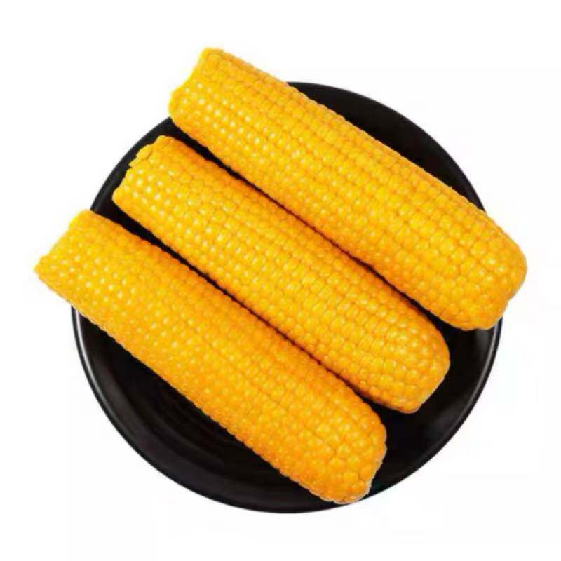 东北新鲜黄糯玉米软糯香甜拉丝独立包装早餐250g/8支真空代餐粗粮