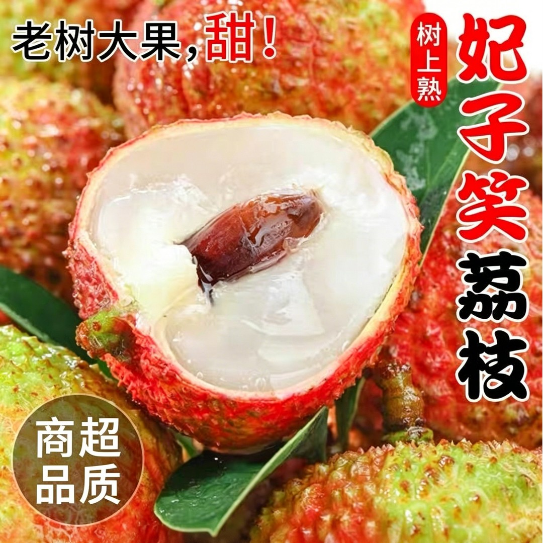 海南妃子笑荔枝现摘现发头茬新鲜水果现发当季新鲜脆甜水果现摘