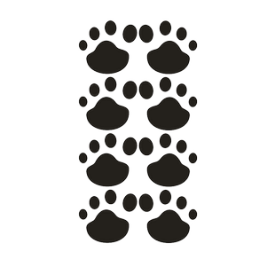 猫爪印 狗爪印 小狗脚印 引擎盖贴 侧门贴 汽车贴纸划痕贴 车身贴