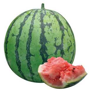 早佳8424西瓜种子麒麟西瓜种孑籽南方四季高产特大果超甜薄皮8424
