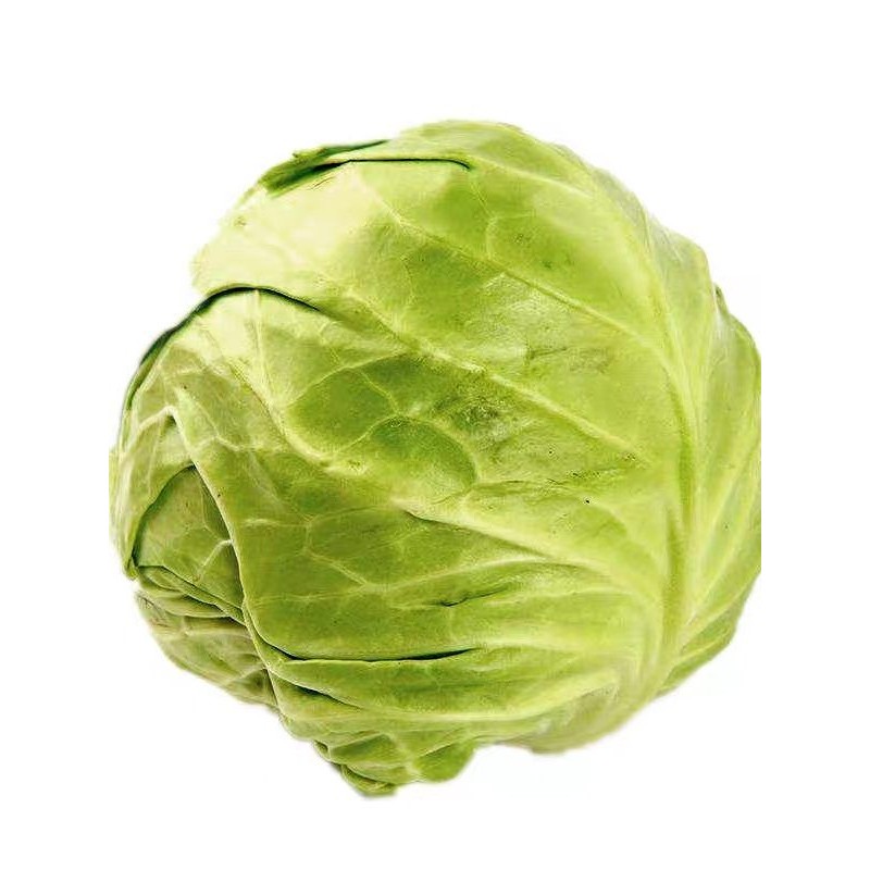 四川薄皮莲花白甘蓝种子特大