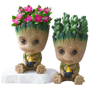 吹雪海棠多肉盆栽室内办公桌创意格鲁特组合肉肉新手好养花卉礼品