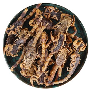 中药材批发官方正品蝎子干全蝎全虫全蝎粉食用清水全蝎干泡酒