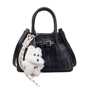 超火小众手提包包女款2026新款潮时尚高级感轻奢单肩包斜挎水桶包