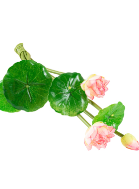 水培植物小荷叶荷花鱼缸仿真花