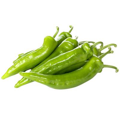 精科有机辣椒尖椒新鲜蔬菜当季现摘现发自然熟辣椒农家自种尖辣椒