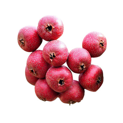 沂蒙山新鲜甜山楂鲜果坏果包赔