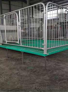 现货小猪保育床猪仔热镀锌挡板全复合板加厚保育床猪产床养殖设备