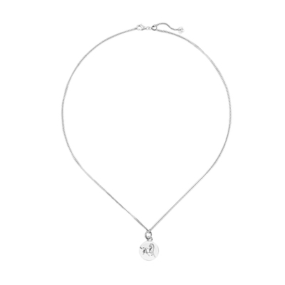 十二生肖项链99纯银本命年锁骨链