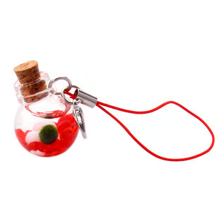 包邮marimo幸福宠物海藻球生态瓶幸福莫水培植物微景观球藻随身瓶