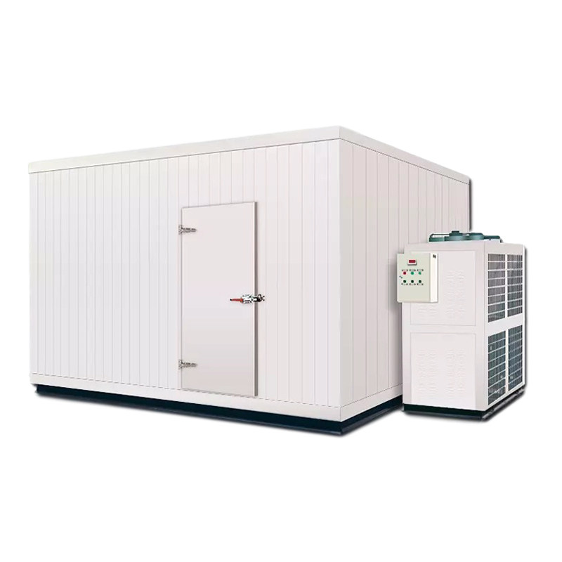 冷库全套设备移动冷冻速冻冷藏保鲜蔬菜水果肉类定制小型冻库220v