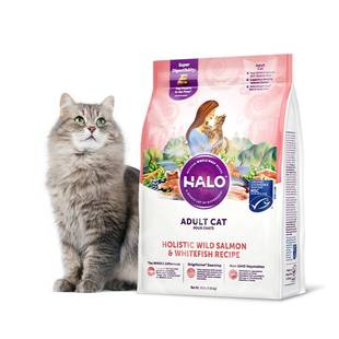 美国进口Halo自然光环纯鲜肉猫粮软便克星营养成猫粮6磅/2.72kg