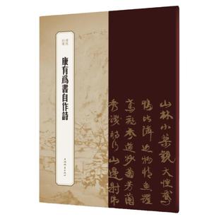 康有为书自作诗 书苑拾遗篆隶行书一体南海体中楷碑学一天阁诗稿清代汉字碑帖上海辞书出版社书法艺术篆刻字帖素材
