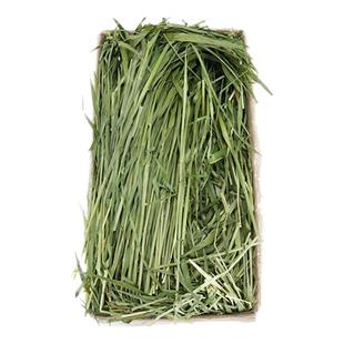 2025年烘干小麦草兔子干草饲料兔子吃的专用干牧草荷兰猪豚鼠龙猫