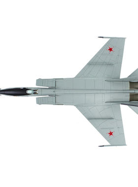 HobbyMaster米格25俄罗斯空军