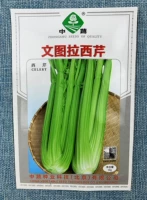 Китайские растительные семена сельдерея 10G Оригинальная китайская академия сельскохозяйственных наук отбор и разведения