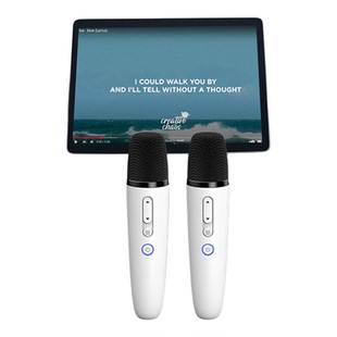 适用特斯拉model3modelY X车载话筒雷石KTV汽车K歌无线USB麦克风