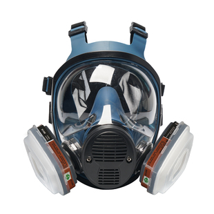 放毒氧气面罩防毒面具全面罩全脸防尘防烟打农药化工气体喷漆防护