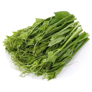 丝瓜尖新鲜蔬菜农家当季时令现摘现发头茬嫩尖佛手瓜尖500g装包邮
