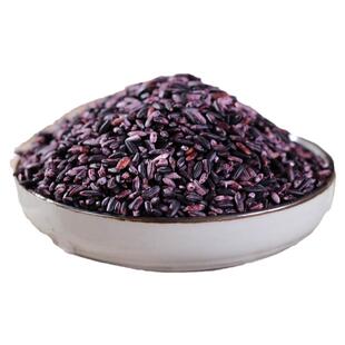 2025年云南墨江紫米紫糯米老品种血糯米1kg饭团材料紫米粥新米