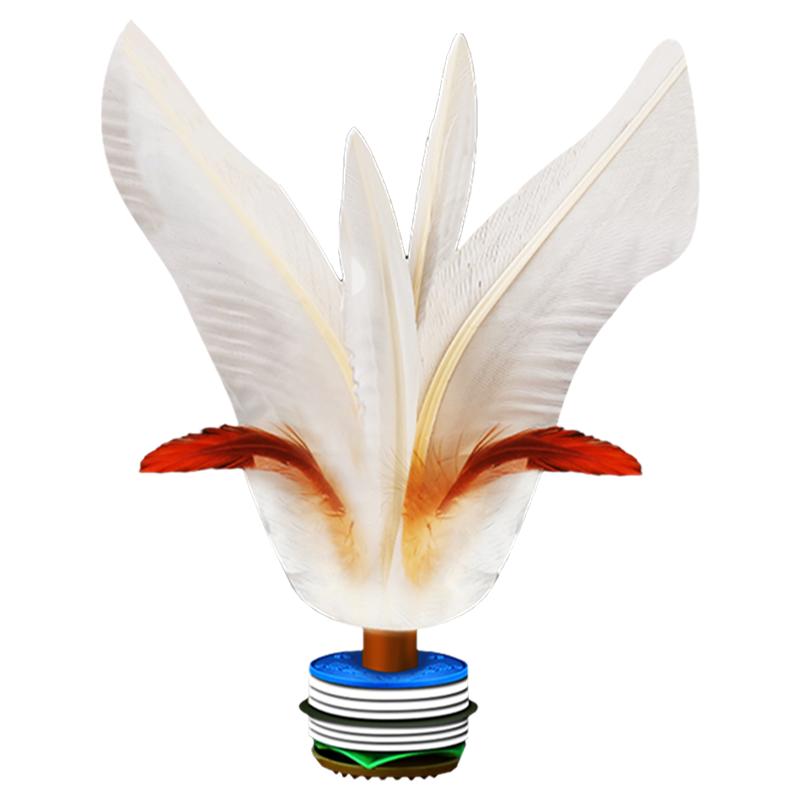 毽子运动专用成人毽球踢毽子键子耐踢比赛儿童小学生大白腱健踺子