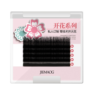 初学者嫁接睫毛水貂毛一秒开花卷翘持久 细软磁性自然无辜眼睫毛