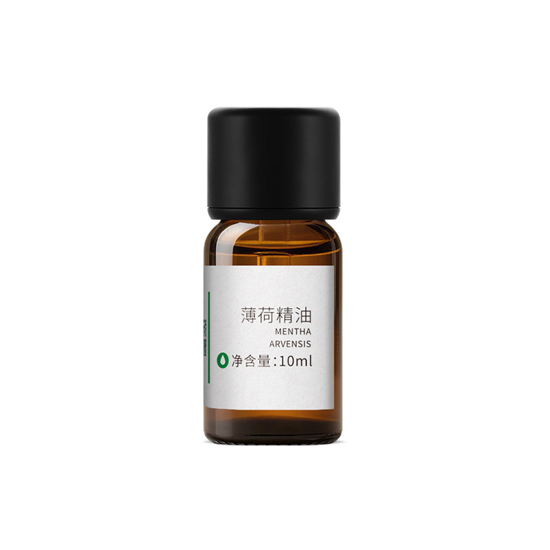 薄荷精油纯天然有机驱蚊虫鼠蜘蛛