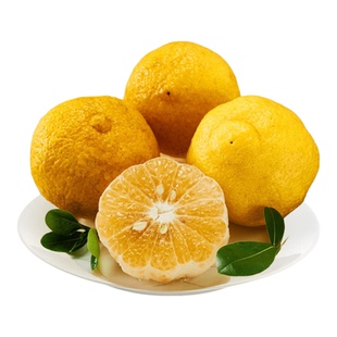 正宗湖南怀化洪江黄金贡柚新鲜水果春香桔柚礼盒象山青甜柚小柚子