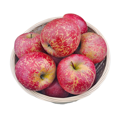 云南昭通丑苹果新鲜水果当季冰糖心红露苹果现摘红富士邵通脆甜