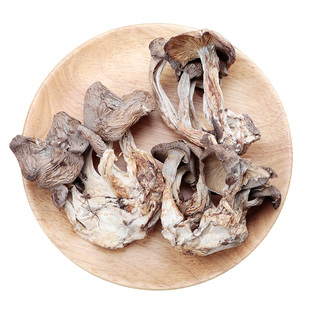 云南北风菌干货野生冷菌一窝菌煲汤蘑菇250g