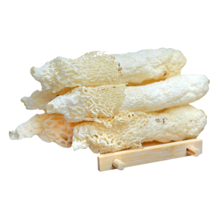 25年贵州织金竹荪精选12cm左右100g红托短裙竹笙花肉厚食用菌干货